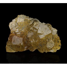 Fluorite and Pyrite Villabona M05628